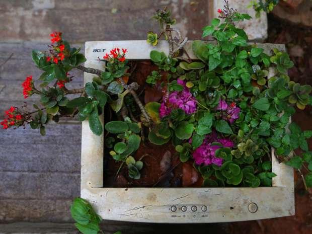 lower plants are seen grown in a computer monitor shell at E-Parisaraa, an electronic waste recycling company in India. Earth Day once sparked young enthusiasts to dream up myriad celebrations around the world. This year’s Earth Day was devoid of sparks or spontaneous celebrations.