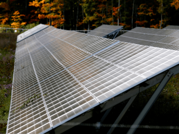 A TransCanada solar array reflects some fall colour at a solar farm on the outskirts of Brockville, Ontario, Oct. 4, 2016. Darcy Cheek/Postmedia Network.