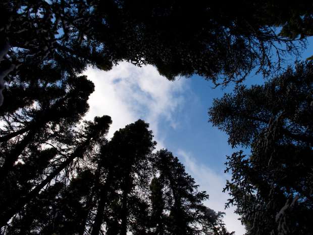 Peter J. Thompson/National Post